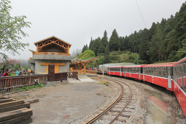 跟著 Mikey 一家去旅行 - 【 嘉義 】阿里山森林遊樂區