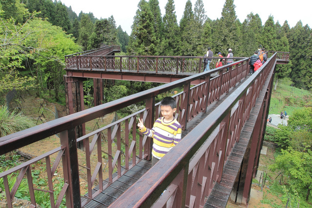 跟著 Mikey 一家去旅行 - 【 嘉義 】阿里山森林遊樂區