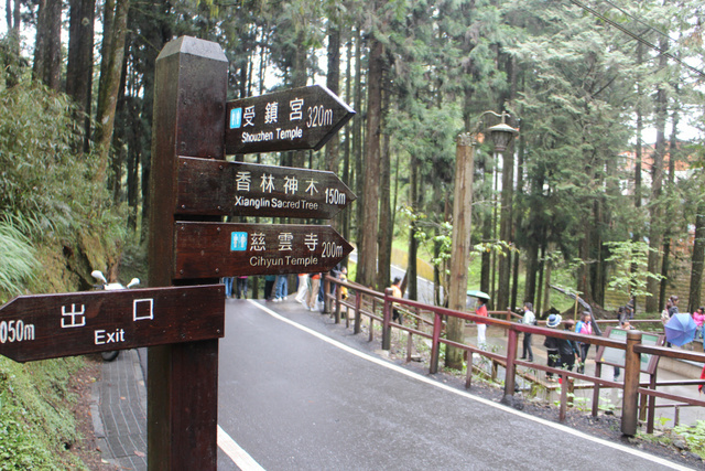 跟著 Mikey 一家去旅行 - 【 嘉義 】阿里山森林遊樂區