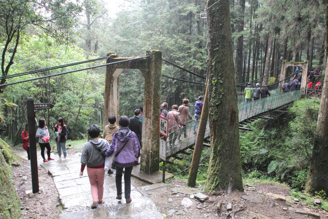 跟著 Mikey 一家去旅行 - 【 嘉義 】阿里山森林遊樂區