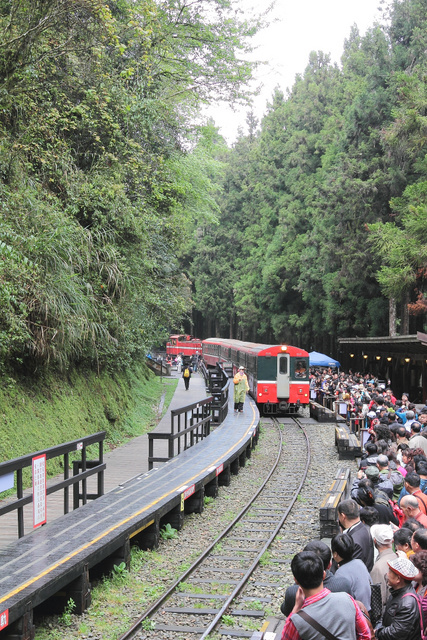 跟著 Mikey 一家去旅行 - 【 嘉義 】阿里山森林遊樂區