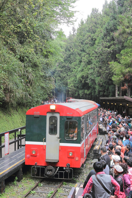 跟著 Mikey 一家去旅行 - 【 嘉義 】阿里山森林遊樂區