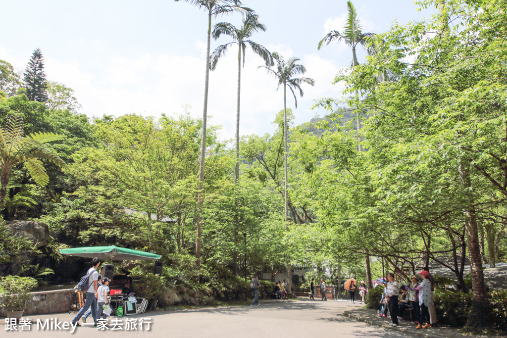 跟著 Mikey 一家去旅行 - 【 三峽 】大板根森林溫泉渡假村 - Part 1