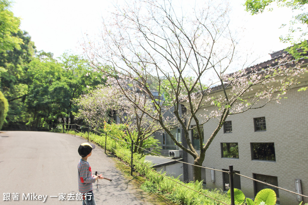 跟著 Mikey 一家去旅行 - 【 三峽 】大板根森林溫泉渡假村 - Part 1