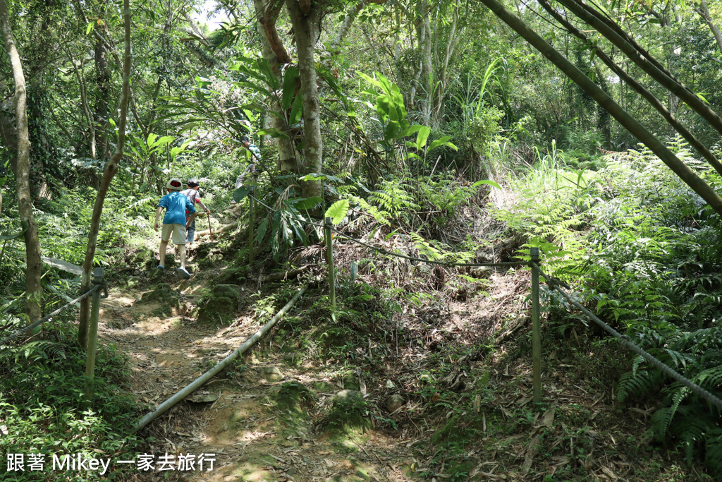 跟著 Mikey 一家去旅行 - 【 三峽 】大板根森林溫泉渡假村 - Part 2