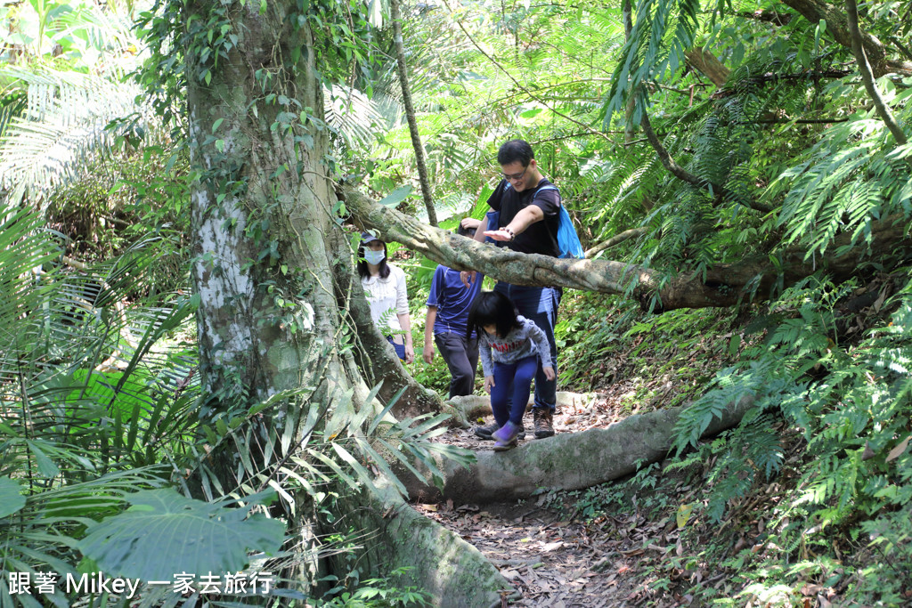 跟著 Mikey 一家去旅行 - 【 三峽 】大板根森林溫泉渡假村 - Part 2