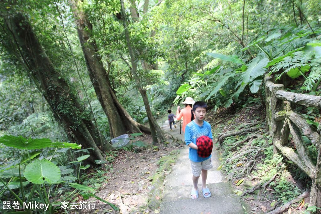 跟著 Mikey 一家去旅行 - 【 三峽 】大板根森林溫泉渡假村 - Part 2