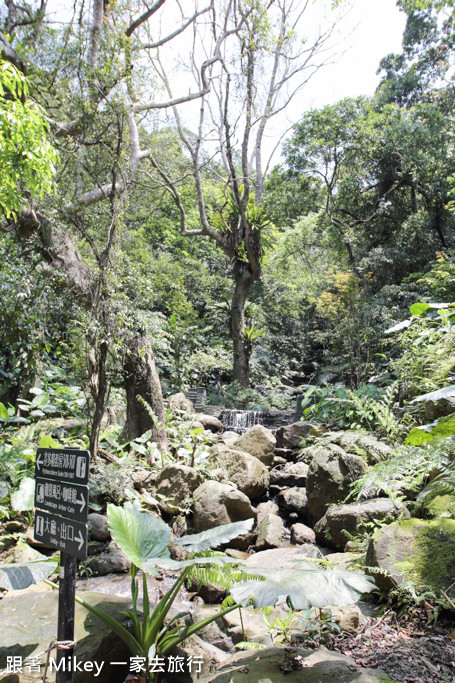 跟著 Mikey 一家去旅行 - 【 三峽 】大板根森林溫泉渡假村 - Part 2