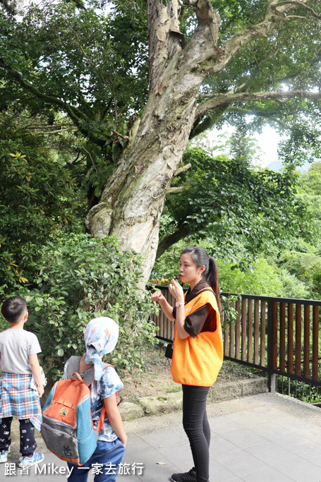 跟著 Mikey 一家去旅行 - 【 三峽 】大板根森林溫泉渡假村 - 導覽篇