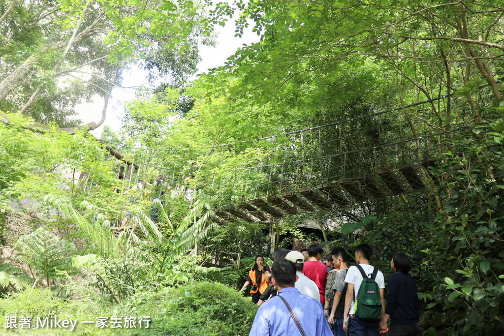 跟著 Mikey 一家去旅行 - 【 三峽 】大板根森林溫泉渡假村 - 導覽篇