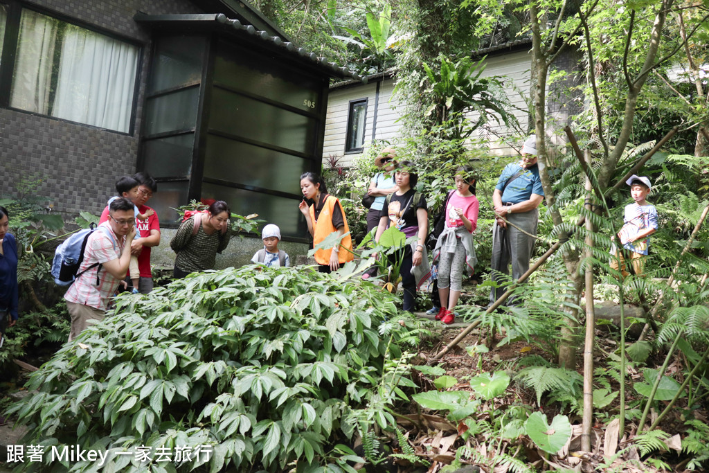 跟著 Mikey 一家去旅行 - 【 三峽 】大板根森林溫泉渡假村 - 導覽篇