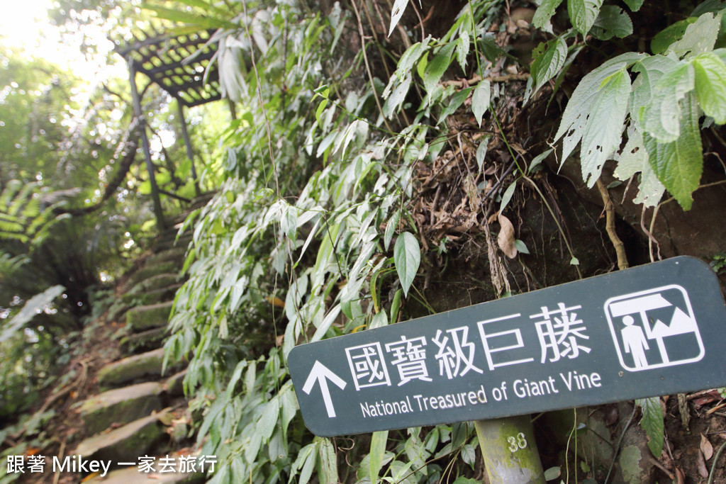 跟著 Mikey 一家去旅行 - 【 三峽 】大板根森林溫泉渡假村 - 導覽篇