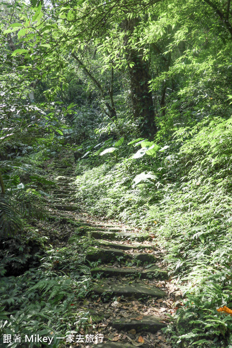 跟著 Mikey 一家去旅行 - 【 三峽 】大板根森林溫泉渡假村 - 導覽篇