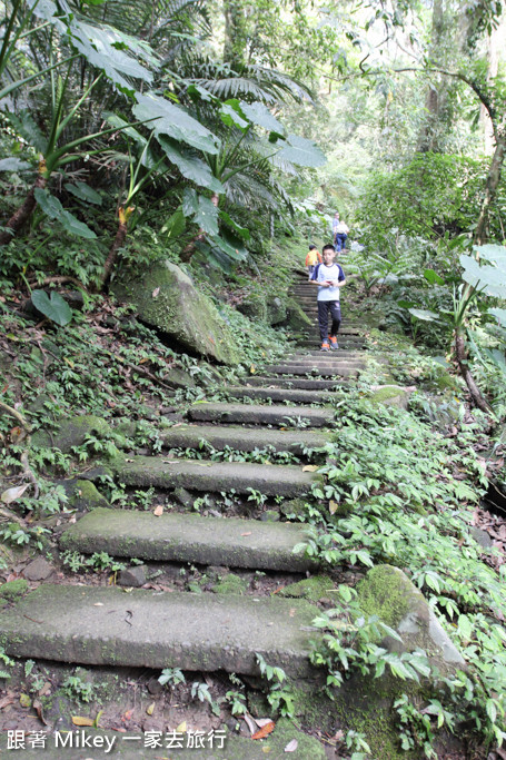 跟著 Mikey 一家去旅行 - 【 三峽 】大板根森林溫泉渡假村 - 導覽篇