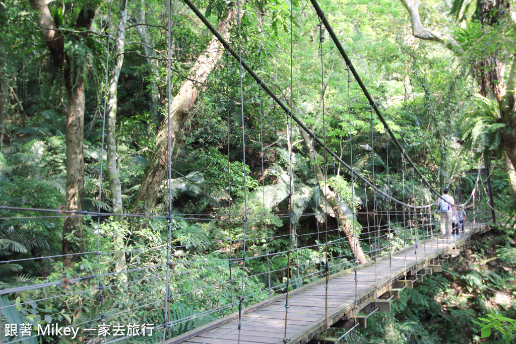 跟著 Mikey 一家去旅行 - 【 三峽 】大板根森林溫泉渡假村 - 導覽篇