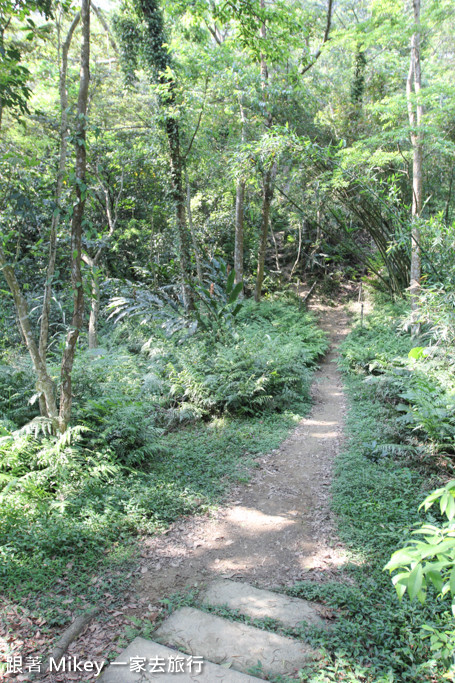 跟著 Mikey 一家去旅行 - 【 三峽 】大板根森林溫泉渡假村 - 導覽篇