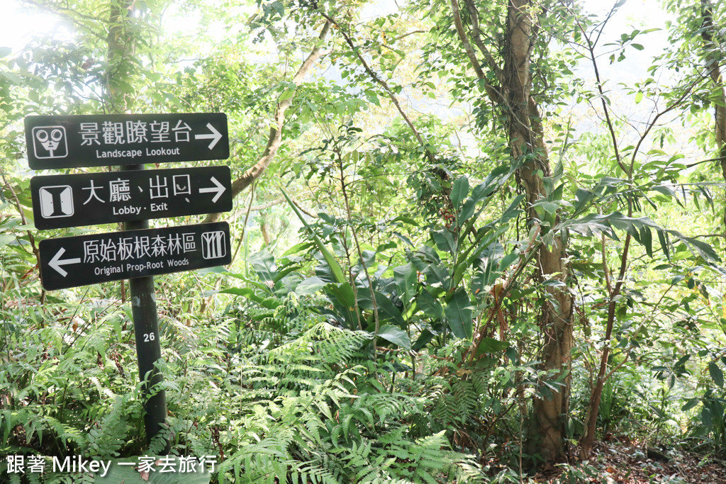 跟著 Mikey 一家去旅行 - 【 三峽 】大板根森林溫泉渡假村 - 導覽篇