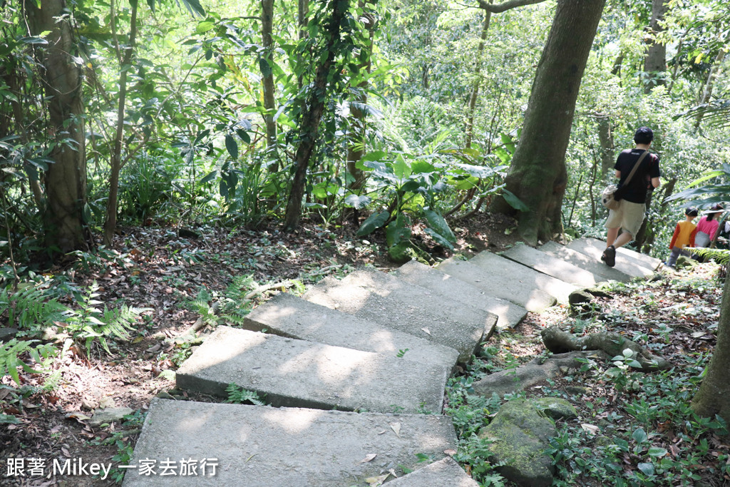 跟著 Mikey 一家去旅行 - 【 三峽 】大板根森林溫泉渡假村 - 導覽篇