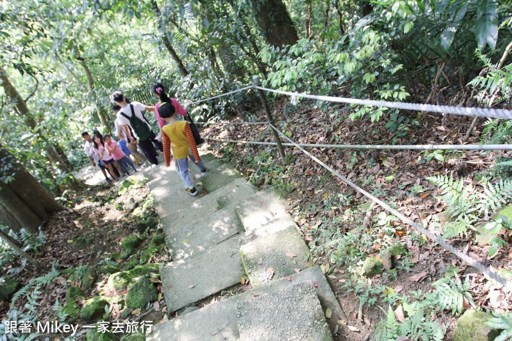 跟著 Mikey 一家去旅行 - 【 三峽 】大板根森林溫泉渡假村 - 導覽篇