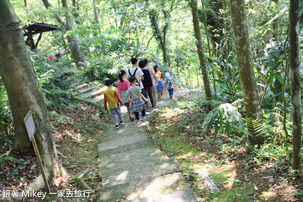 跟著 Mikey 一家去旅行 - 【 三峽 】大板根森林溫泉渡假村 - 導覽篇