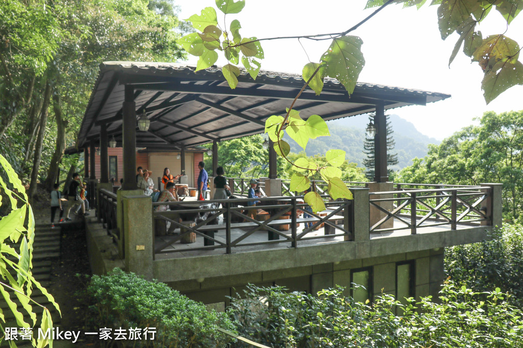 跟著 Mikey 一家去旅行 - 【 三峽 】大板根森林溫泉渡假村 - 導覽篇