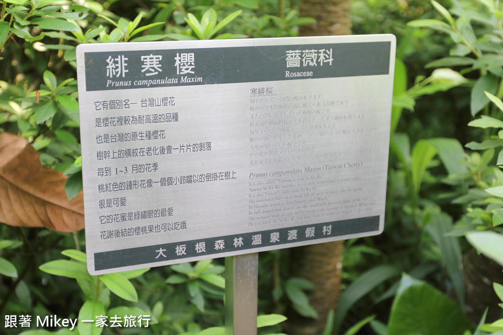 跟著 Mikey 一家去旅行 - 【 三峽 】大板根森林溫泉渡假村 - 導覽篇