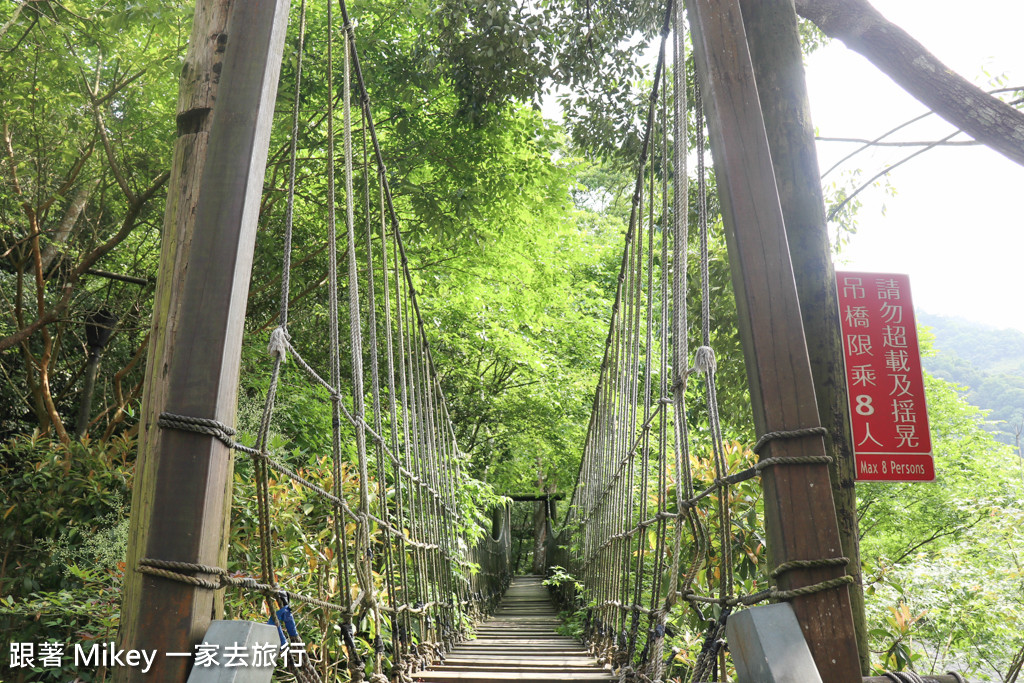 跟著 Mikey 一家去旅行 - 【 三峽 】大板根森林溫泉渡假村 - 導覽篇