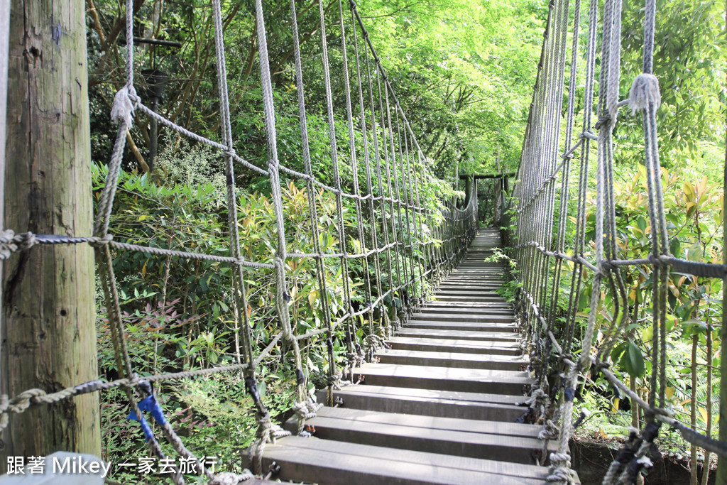 跟著 Mikey 一家去旅行 - 【 三峽 】大板根森林溫泉渡假村 - 導覽篇