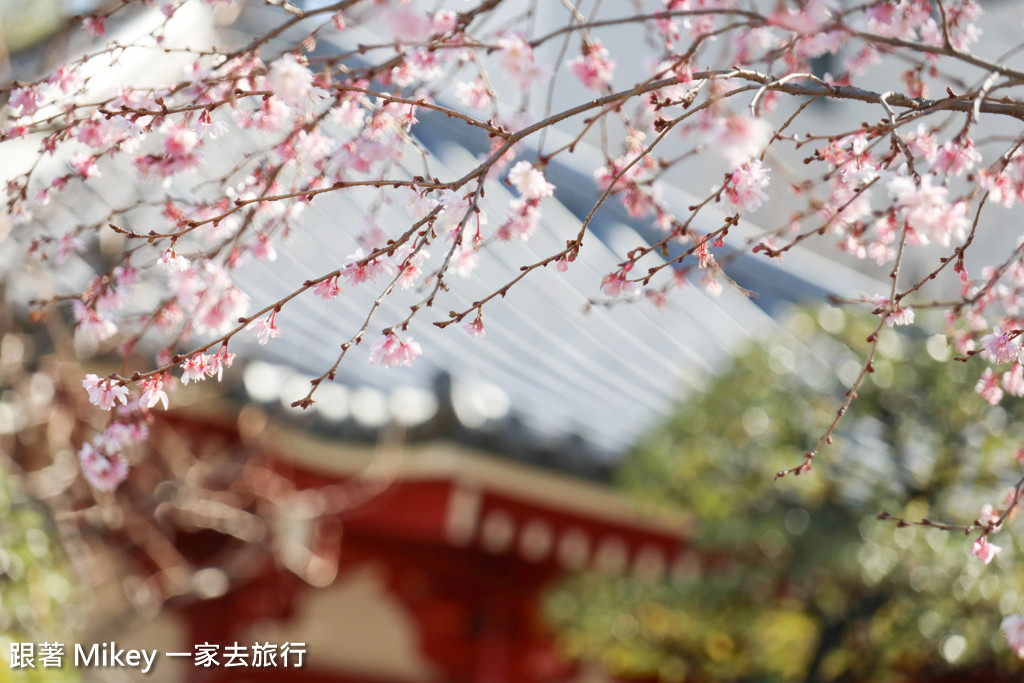 跟著 Mikey 一家去旅行 - 【 淺草 】淺草觀音寺