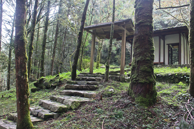 跟著 Mikey 一家去旅行 - 【 大同 】明池國家森林遊樂區 - 靜石園