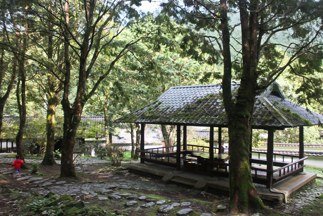 跟著 Mikey 一家去旅行 - 【 大同 】明池國家森林遊樂區 - 靜石園