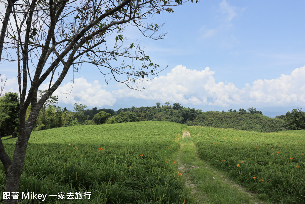 跟著 Mikey 一家去旅行 - 【 玉里 】赤柯山 - 小瑞士農場篇