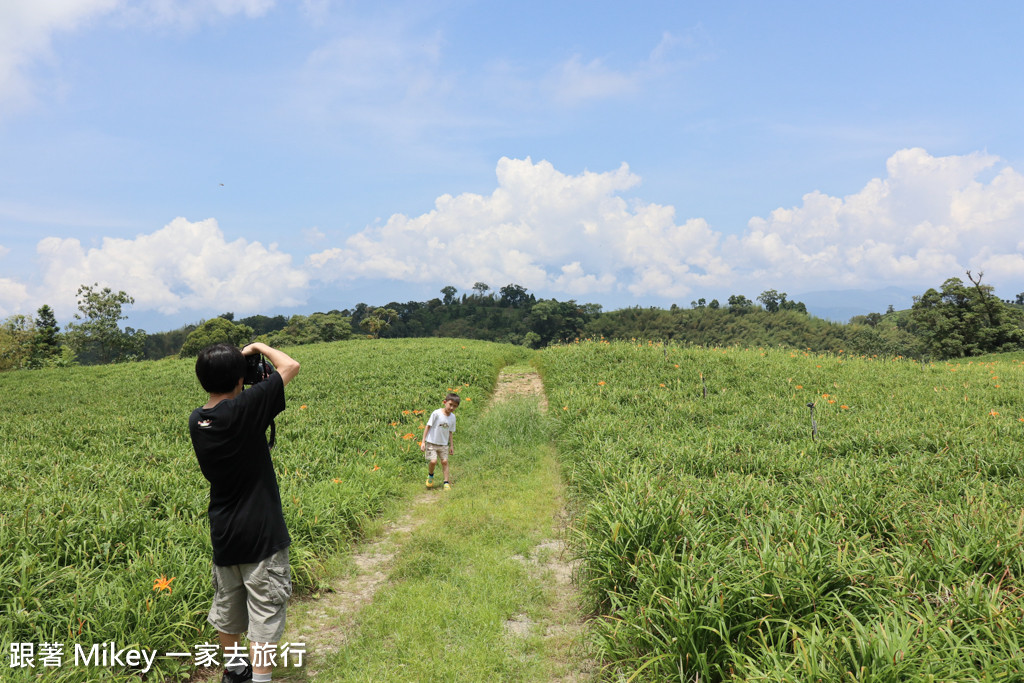 跟著 Mikey 一家去旅行 - 【 玉里 】赤柯山 - 小瑞士農場篇