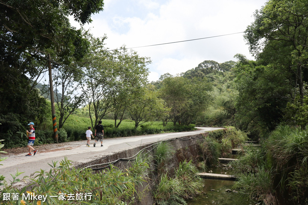 跟著 Mikey 一家去旅行 - 【 玉里 】赤柯山 - 小瑞士農場篇