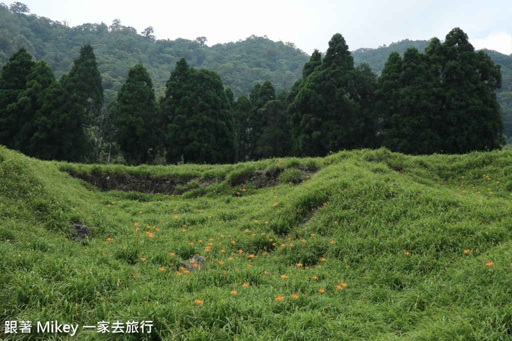 跟著 Mikey 一家去旅行 - 【 玉里 】赤柯山 - 小瑞士農場篇