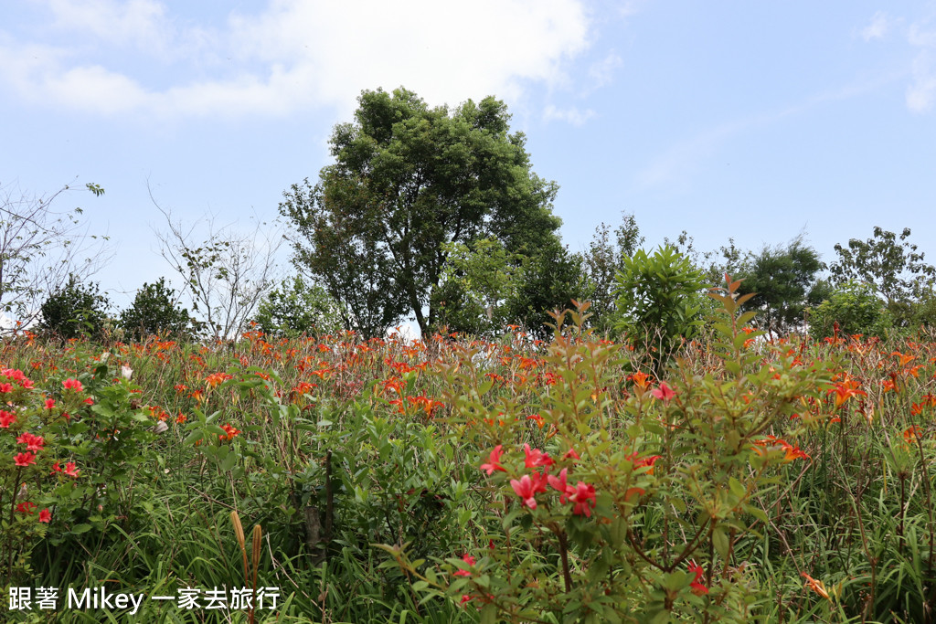 跟著 Mikey 一家去旅行 - 【 玉里 】赤柯山 - 赤柯農場篇