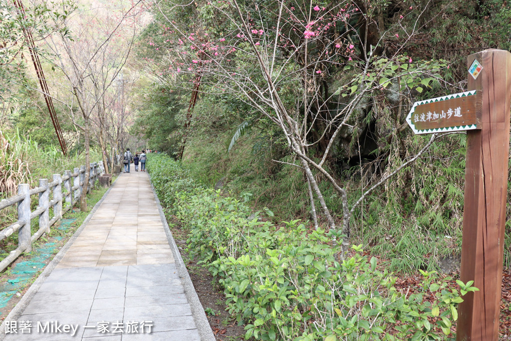 跟著 Mikey 一家去旅行 - 【 谷關 】捎來吊橋、捎來步道、遊客中心