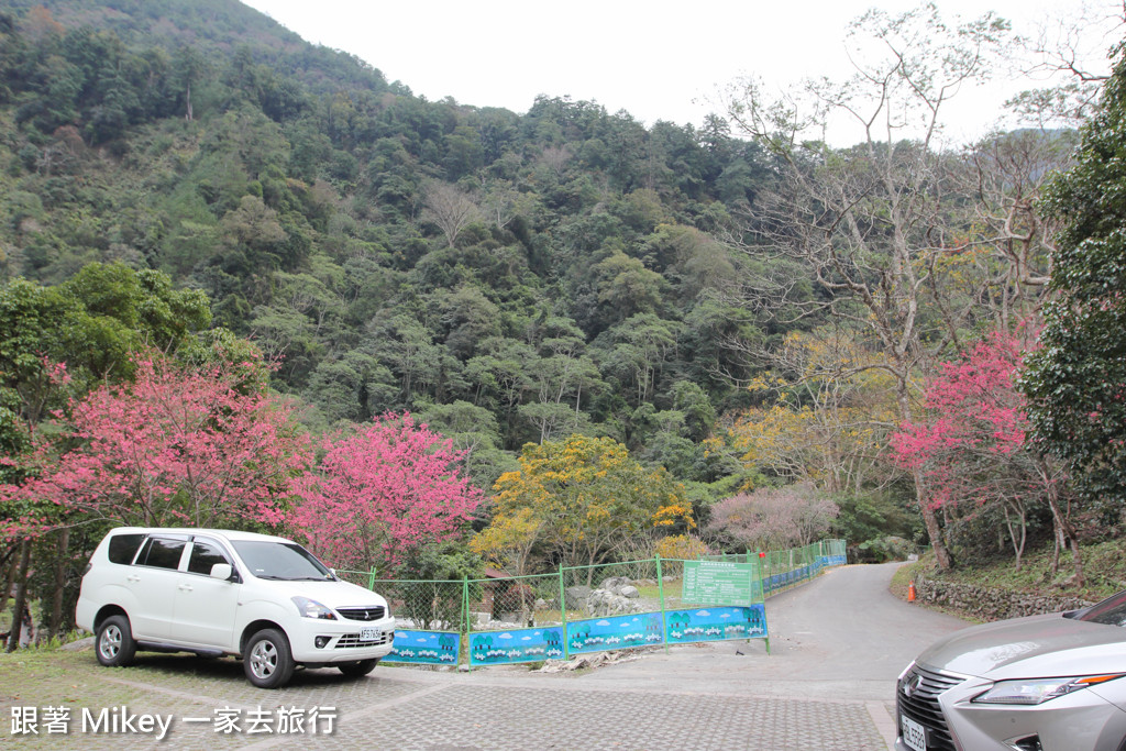 跟著 Mikey 一家去旅行 - 【 谷關 】八仙山國家森林遊樂區