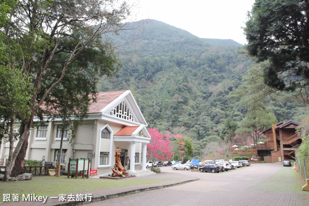 跟著 Mikey 一家去旅行 - 【 谷關 】八仙山國家森林遊樂區