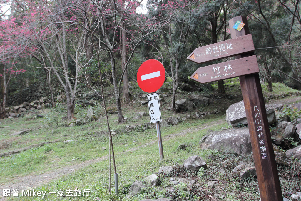跟著 Mikey 一家去旅行 - 【 谷關 】八仙山國家森林遊樂區