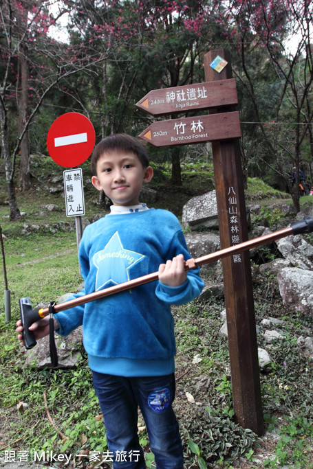 跟著 Mikey 一家去旅行 - 【 谷關 】八仙山國家森林遊樂區