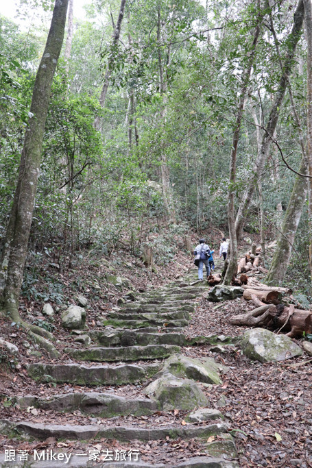 跟著 Mikey 一家去旅行 - 【 谷關 】八仙山國家森林遊樂區