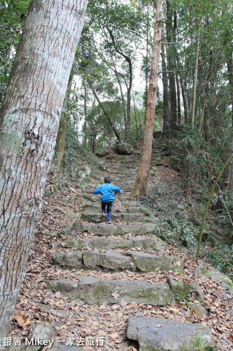 跟著 Mikey 一家去旅行 - 【 谷關 】八仙山國家森林遊樂區
