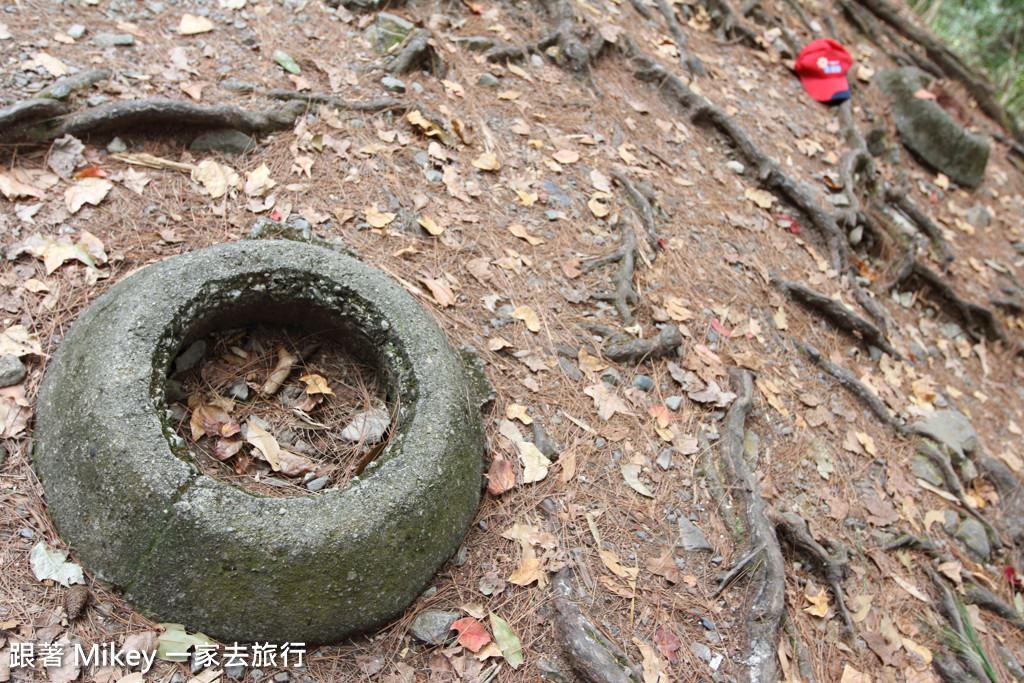 跟著 Mikey 一家去旅行 - 【 谷關 】八仙山國家森林遊樂區