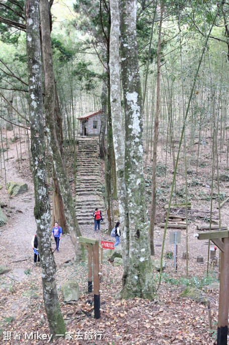 跟著 Mikey 一家去旅行 - 【 谷關 】八仙山國家森林遊樂區