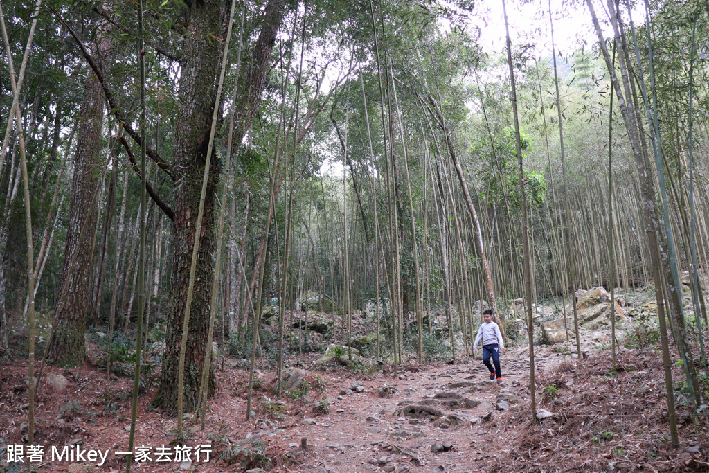 跟著 Mikey 一家去旅行 - 【 谷關 】八仙山國家森林遊樂區