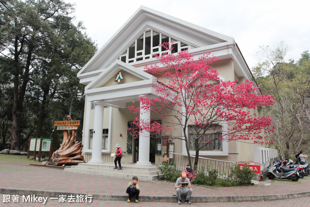 跟著 Mikey 一家去旅行 - 【 谷關 】八仙山國家森林遊樂區