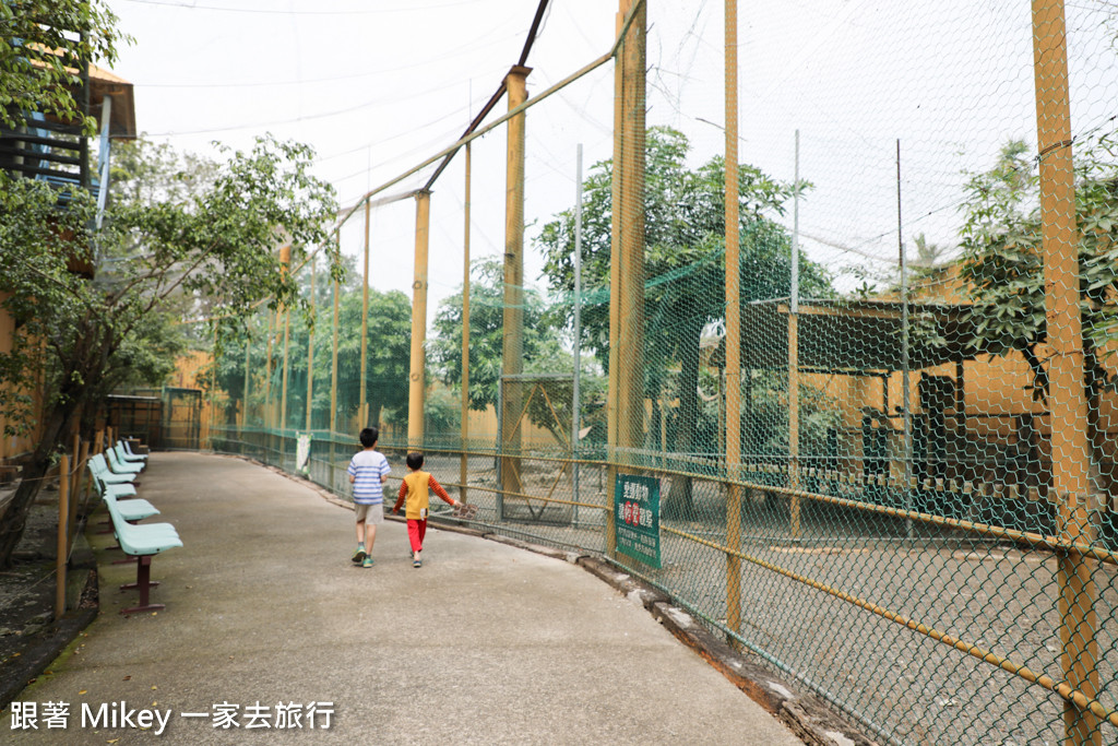 跟著 Mikey 一家去旅行 - 【 潮州 】八大森林魔法樂園 - Part II