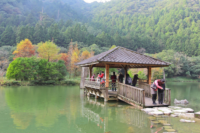 跟著 Mikey 一家去旅行 - 【 大同 】明池國家森林遊樂區 - 秋之明池