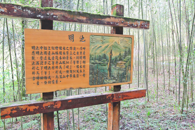 跟著 Mikey 一家去旅行 - 【 大同 】明池國家森林遊樂區 - 秋之明池